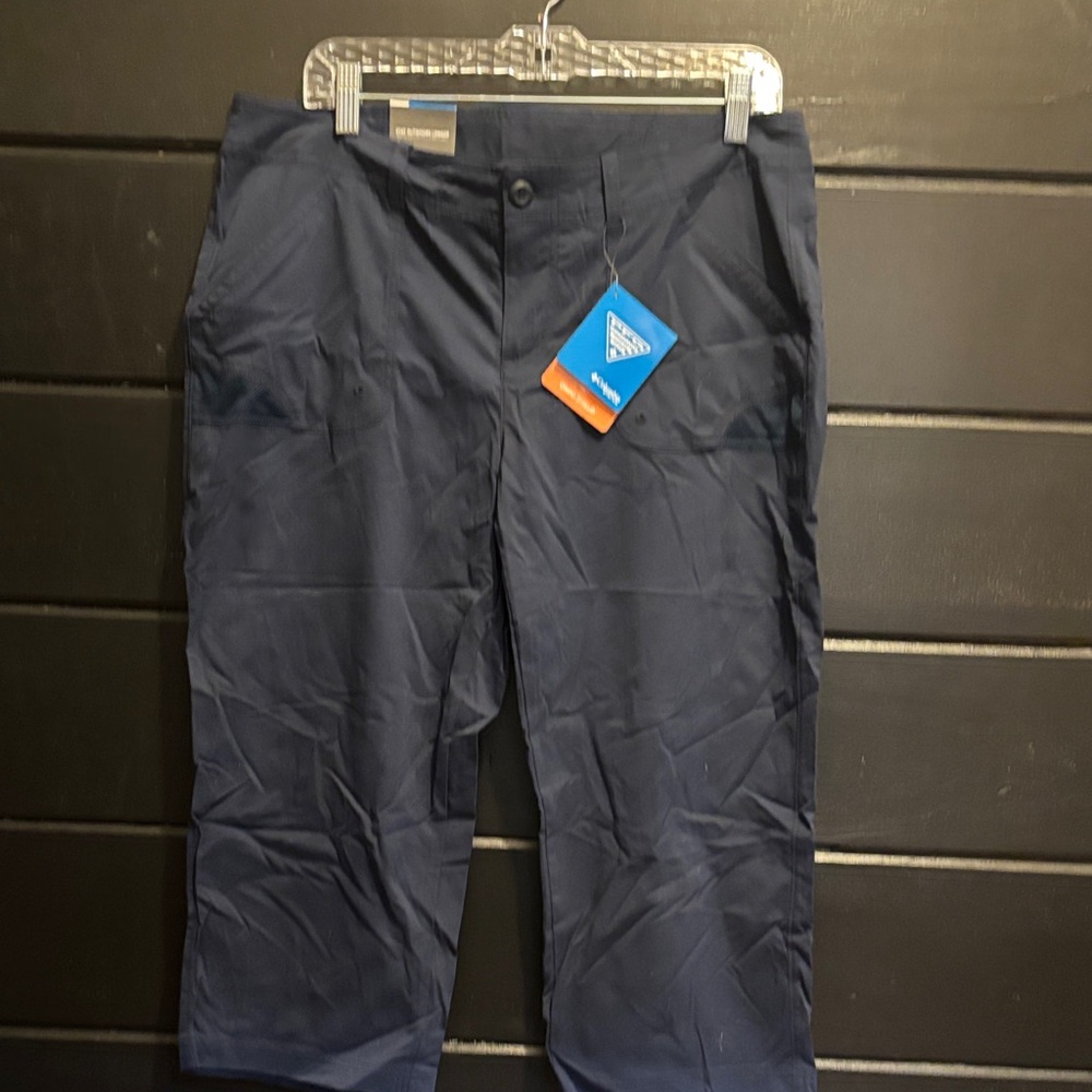 Stylish Navy Cropped Pants